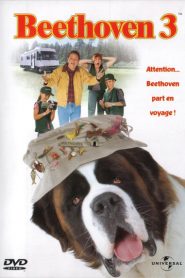 Beethoven 3