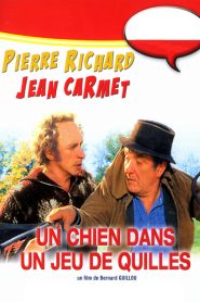 Un chien dans un jeu de quilles
