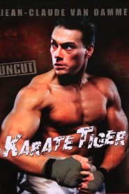 Karaté Tiger