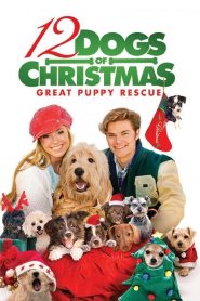 12 chiens pour Noël 2