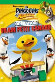 Les Pingouins de Madagascar