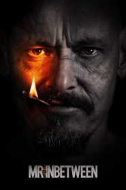 Mr Inbetween: Saison 3