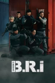 B.R.I: Saison 2